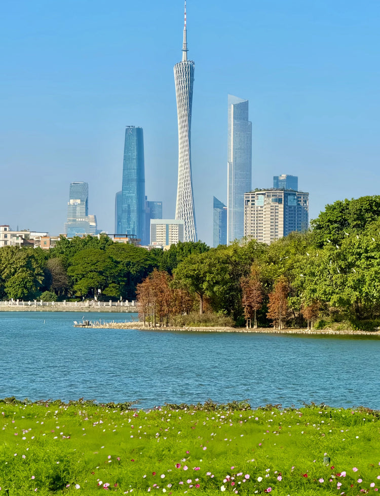 Guangzhou City One-Day Tour