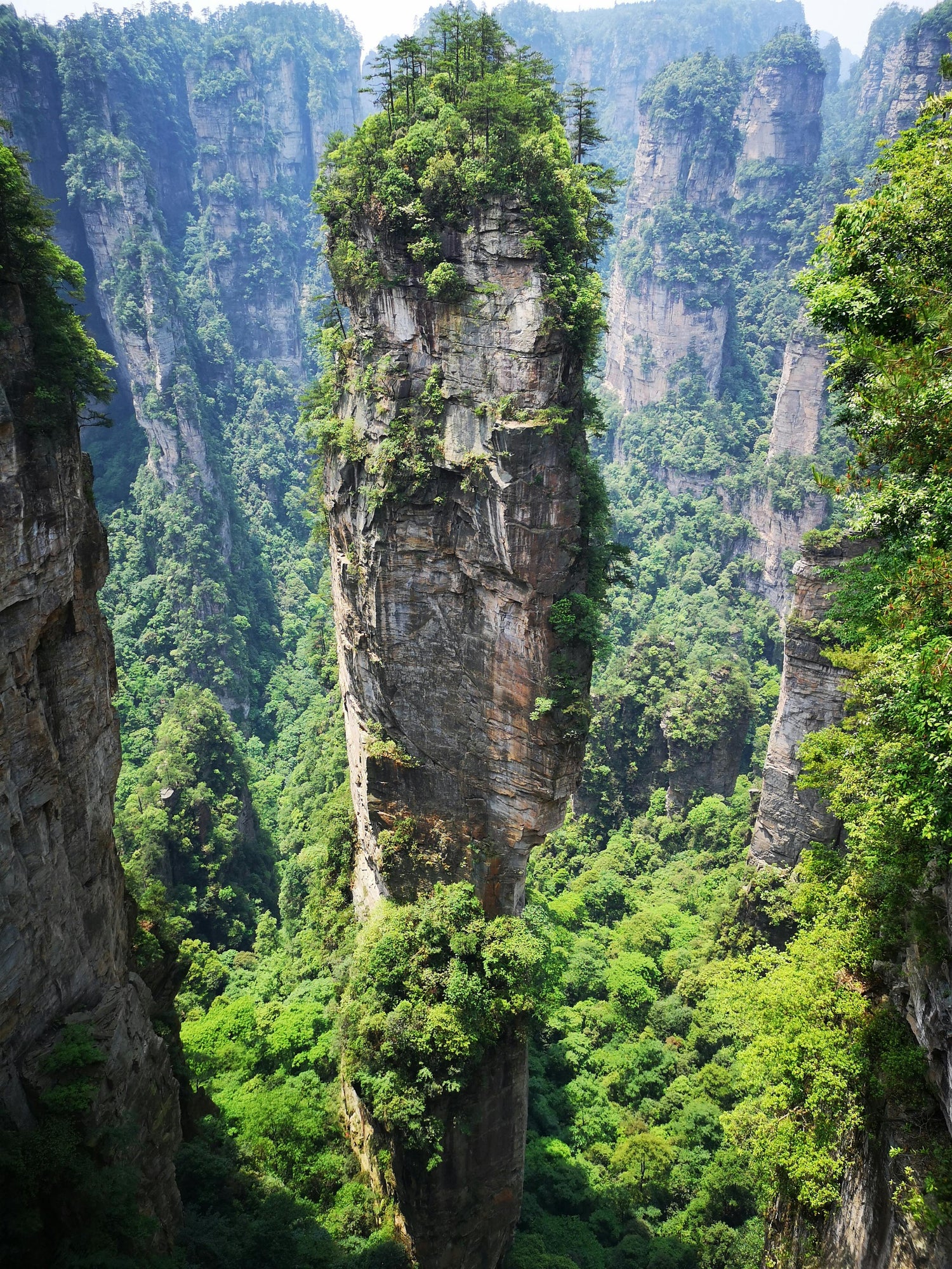 ZhangJiaJie Tour / 8 Days /$699
